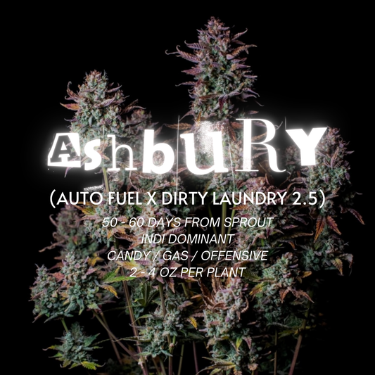 Ashbury