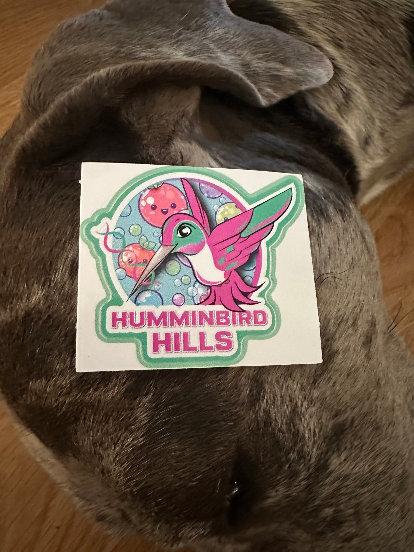 Humminbird Hills stickers